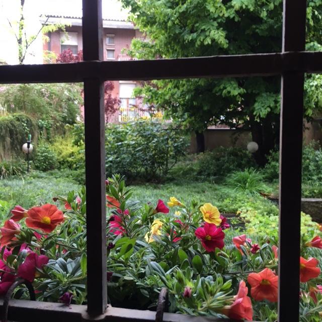 Cosy Studio Historical Center Cremona Exterior photo